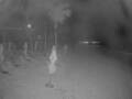 Webcam Punta Cana