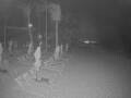 Webcam Punta Cana