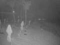 Webcam Punta Cana
