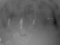 Webcam Punta Cana