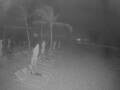 Webcam Punta Cana