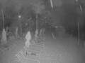 Webcam Punta Cana