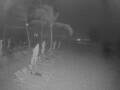 Webcam Punta Cana