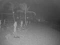 Webcam Punta Cana