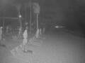 Webcam Punta Cana