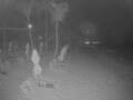 Webcam Punta Cana