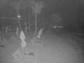 Webcam Punta Cana