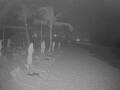 Webcam Punta Cana