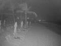 Webcam Punta Cana