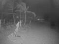 Webcam Punta Cana