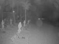Webcam Punta Cana