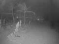 Webcam Punta Cana