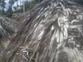 Webcam Punta Cana