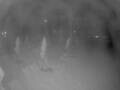 Webcam Punta Cana