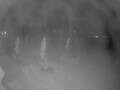 Webcam Punta Cana