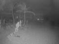 Webcam Punta Cana