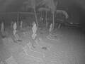 Webcam Punta Cana