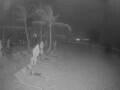 Webcam Punta Cana