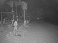 Webcam Punta Cana