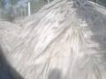Webcam Punta Cana
