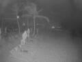 Webcam Punta Cana