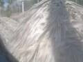 Webcam Punta Cana