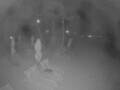 Webcam Punta Cana