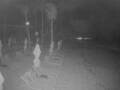 Webcam Punta Cana