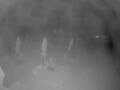 Webcam Punta Cana