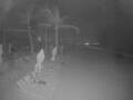 Webcam Punta Cana