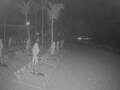 Webcam Punta Cana