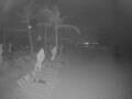 Webcam Punta Cana
