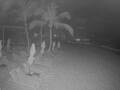 Webcam Punta Cana