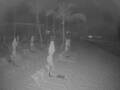 Webcam Punta Cana