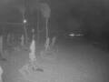 Webcam Punta Cana
