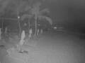 Webcam Punta Cana