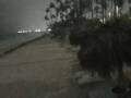 Webcam Punta Cana