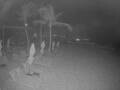 Webcam Punta Cana
