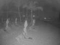 Webcam Punta Cana