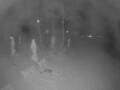 Webcam Punta Cana