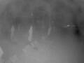 Webcam Punta Cana
