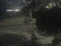 Webcam Punta Cana