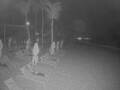 Webcam Punta Cana