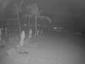 Webcam Punta Cana