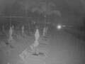 Webcam Punta Cana