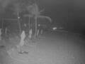 Webcam Punta Cana