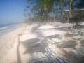 Webcam Punta Cana