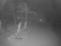 Webcam Punta Cana