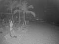 Webcam Punta Cana