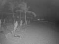Webcam Punta Cana